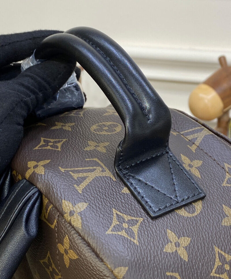 Louis Vuitton Palm Springs MM M44874 Brown